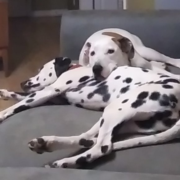 Meet your Posher, Ruth - Picture 8 of 13